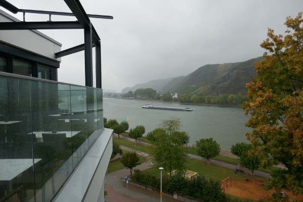 Blick auf Rhein mit Frachtschiff